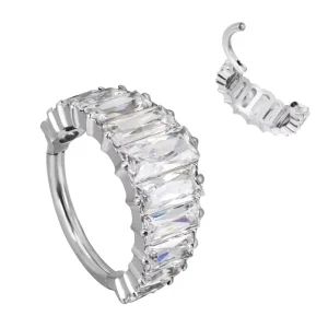 ASTM F136 Titanium CZ Hinged Segment Hoop Clicker Ear and Nose Piercing Ring Body Jewelry