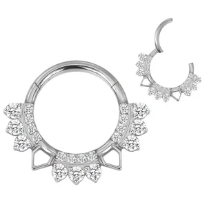 ASTM F136 Titanium Faced Hinged Segment Hoop Nose Ring Piercing Jewelry