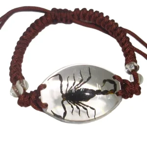 Boutique Insect Amber Charms Handmade Braided Rope Bracelet Resin Scorpion Bangles Custom Jewelry for Men