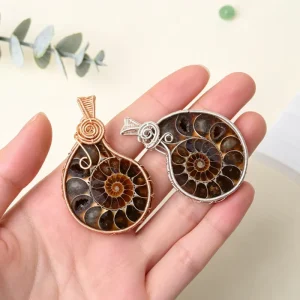 Natural Ammonite Fossil Pendant Necklace for Decoration
